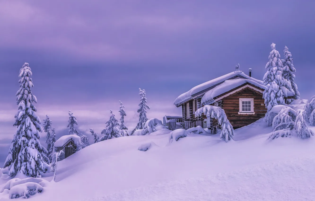 Фото обои зима, снег, деревья, пейзаж, природа, дом, ели, склон