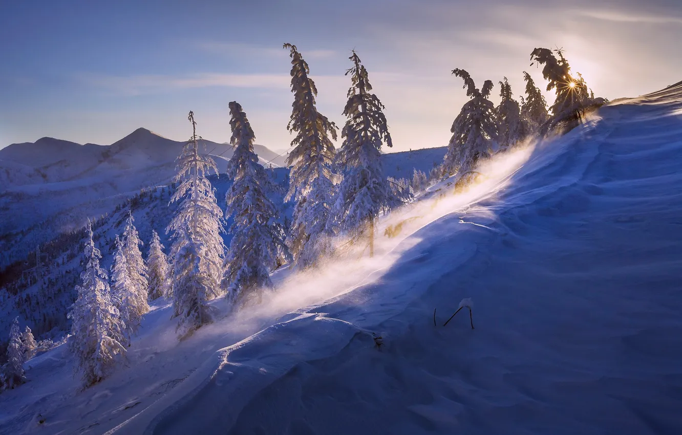 Фото обои зима, солнце, свет, снег, природа, ветер, Мороз минус 43, Бурхалинский перевал