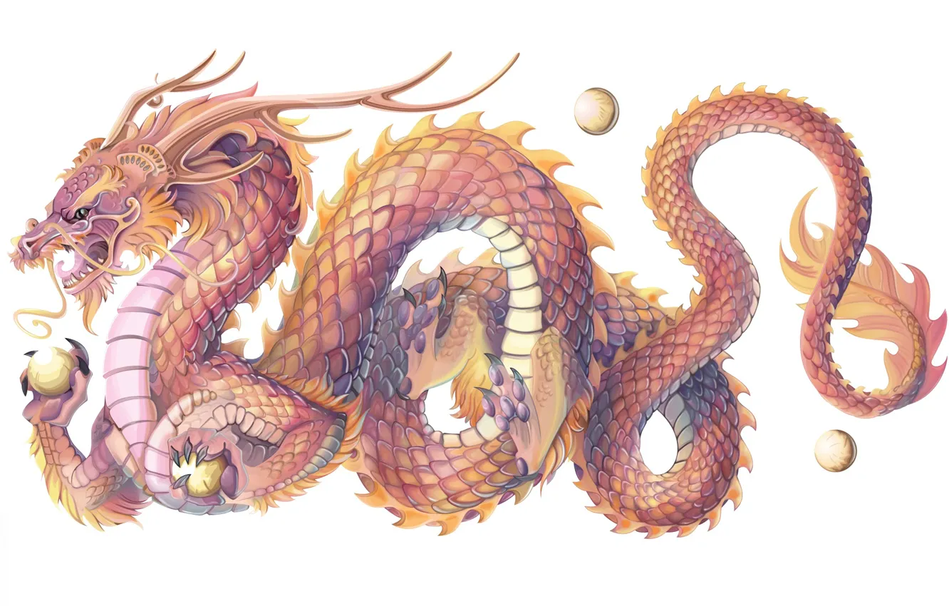 Фото обои дракон, чешуя, символ