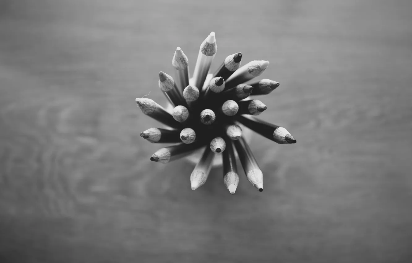Фото обои карандаши, черно-белое, много