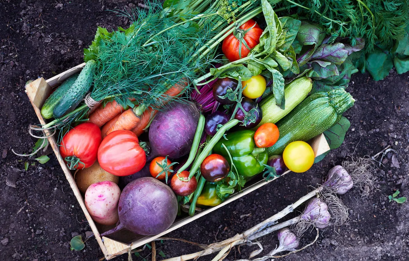 Фото обои зелень, овощи, чеснок