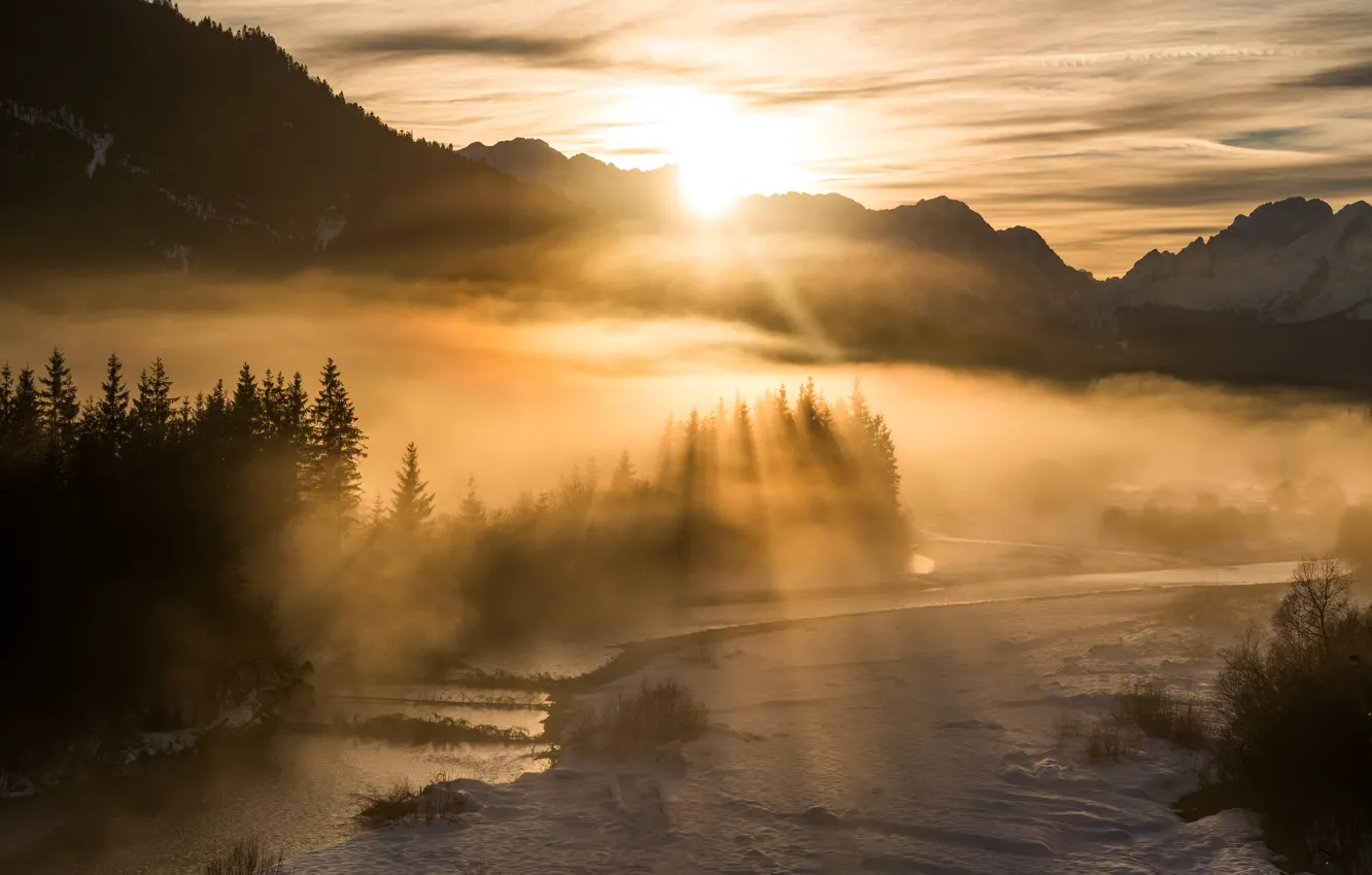 Фото обои зима, лес, солнце, лучи, свет, снег, горы, туман