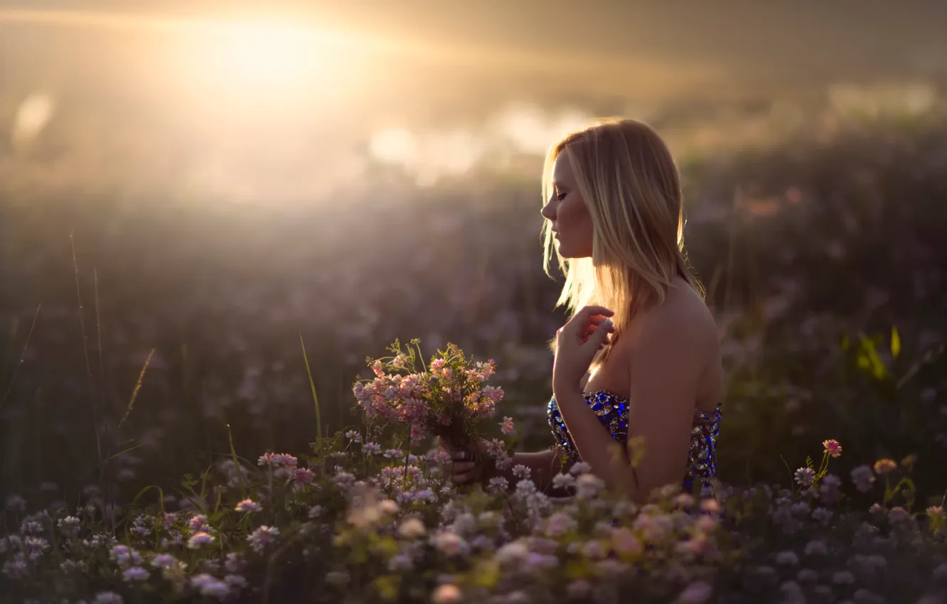 Фото обои поле, девушка, солнце, цветы, In Dreams