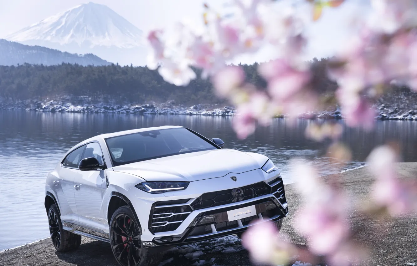 Фото обои гора, Lamborghini, Япония, сакура, 2018, кроссовер, Фудзияма, Urus