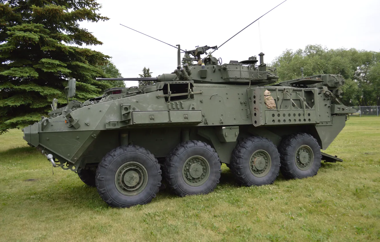 Фото обои weapon, tank, armored, military vehicle, armored vehicle, armed forces, military power, 013