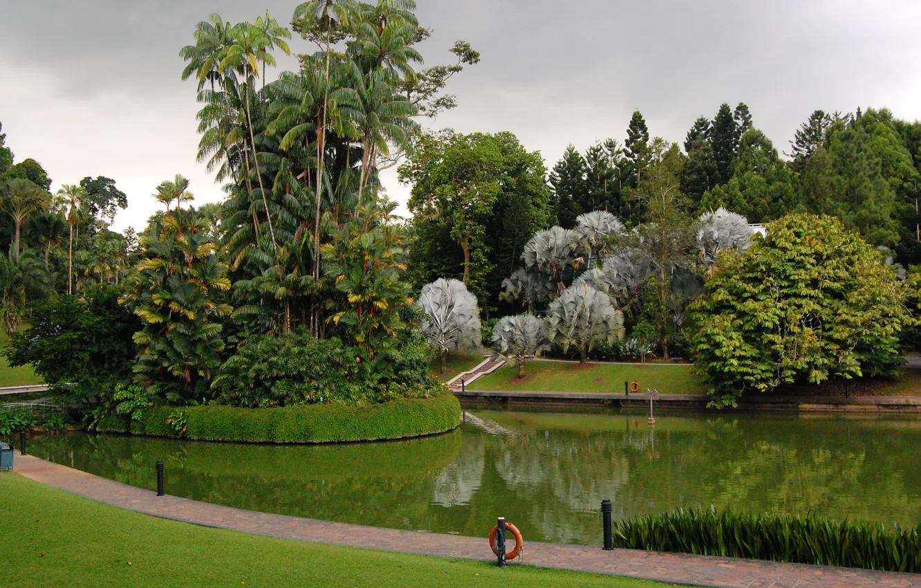 Фото обои трава, деревья, дизайн, пруд, парк, пальмы, газон, Сингапур