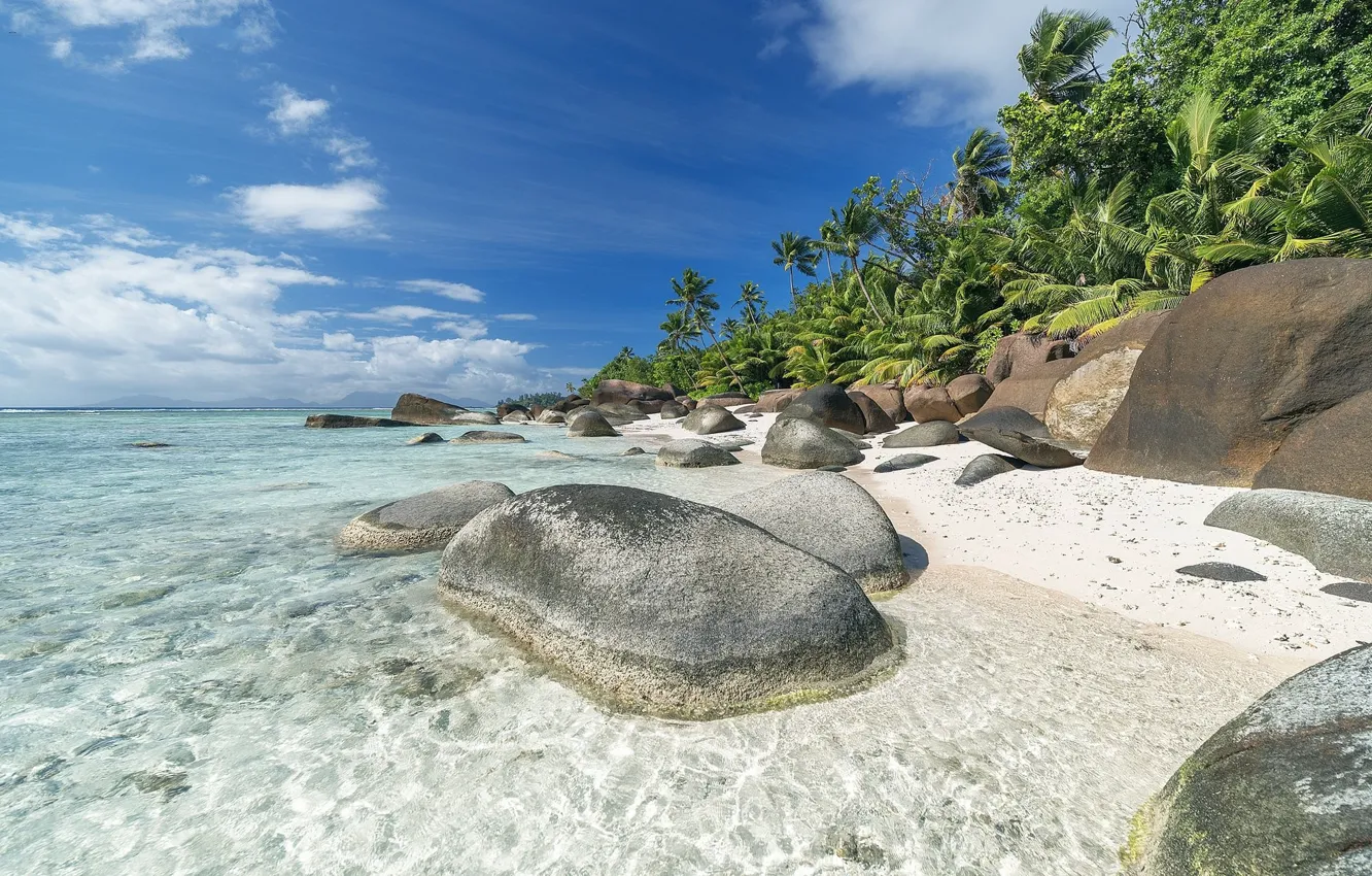 Фото обои пляж, тропики, камни