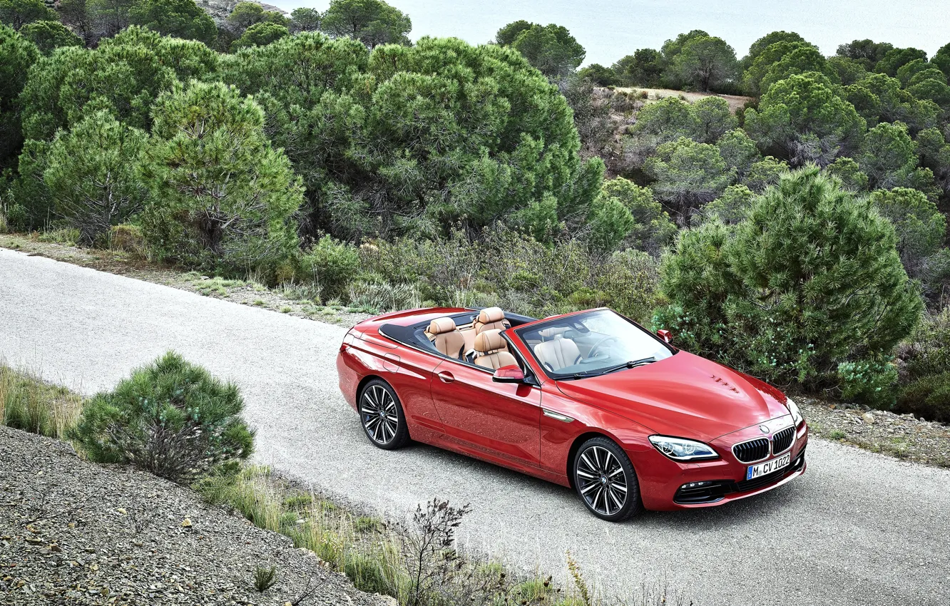 Фото обои бмв, BMW, кабриолет, Cabrio, F12, 6-Series