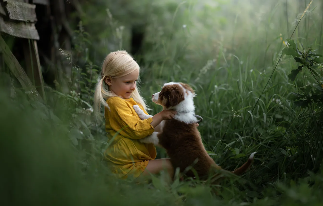 Фото обои трава, собака, девочка, щенок, друзья