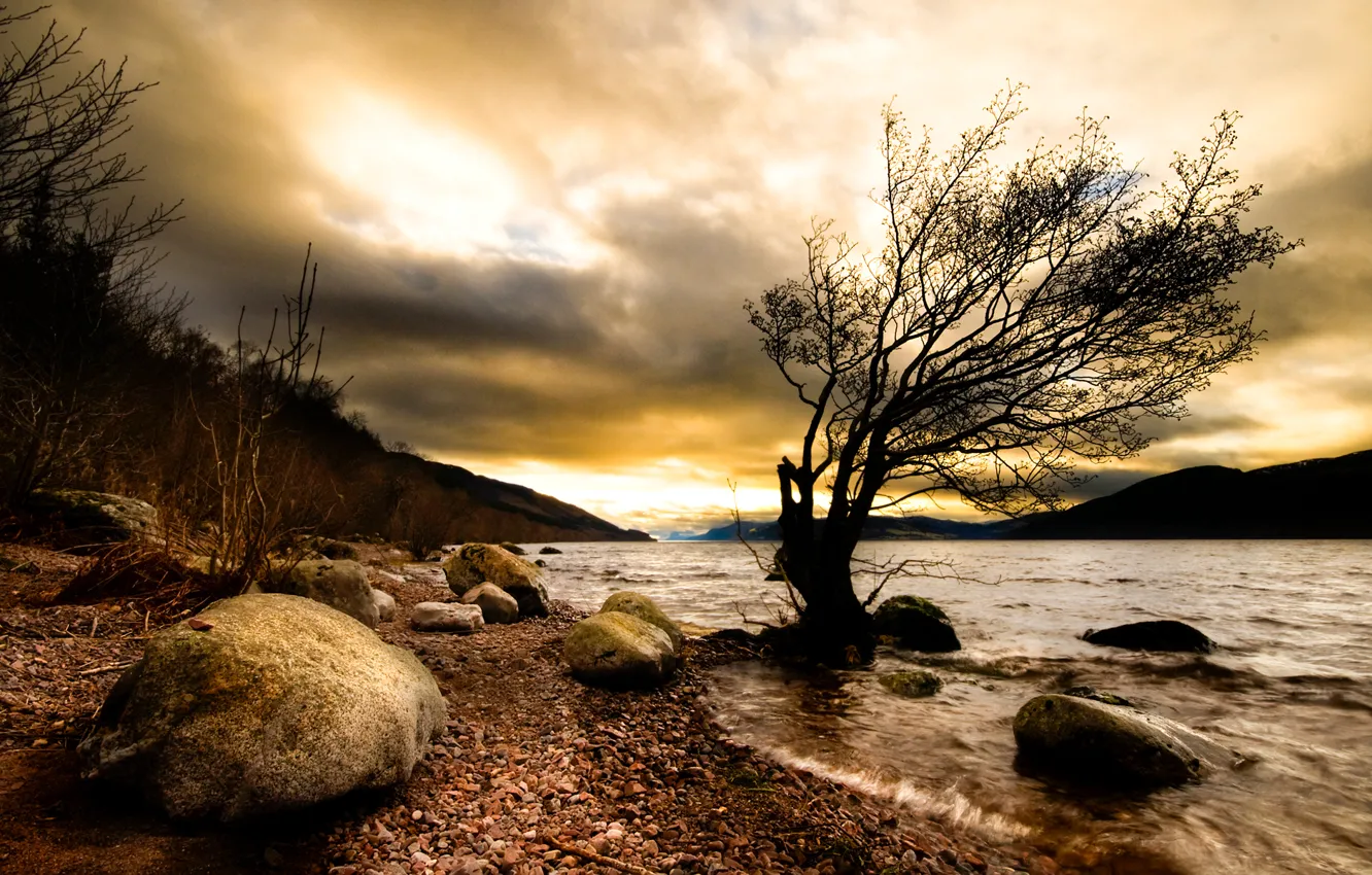 Фото обои природа, река, камни, дерево, мрак