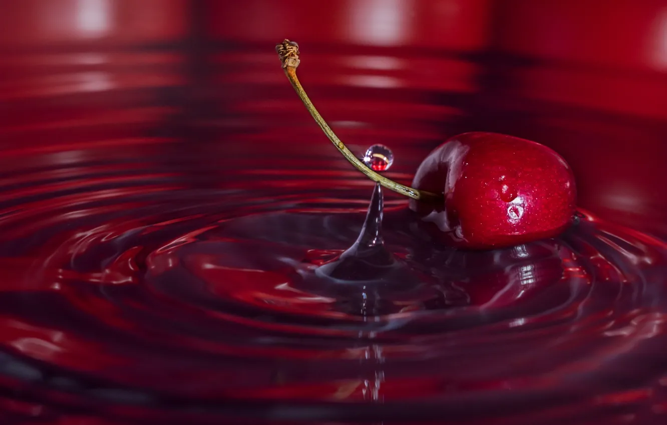 Фото обои вода, макро, вишня, капля, ягода, черешня