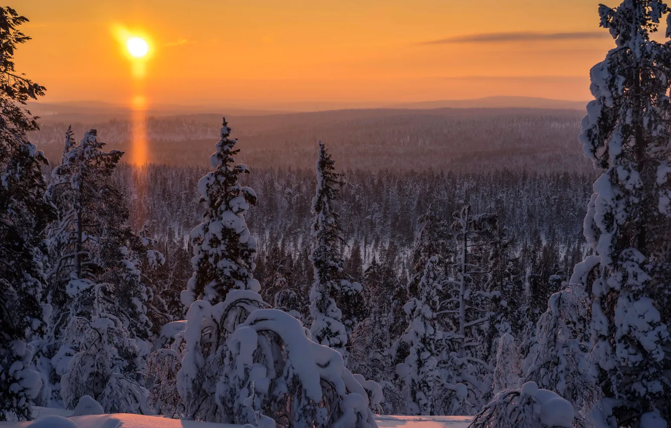 Фото обои зима, лес, солнце, снег, деревья, сугробы, Финляндия, Лапландия