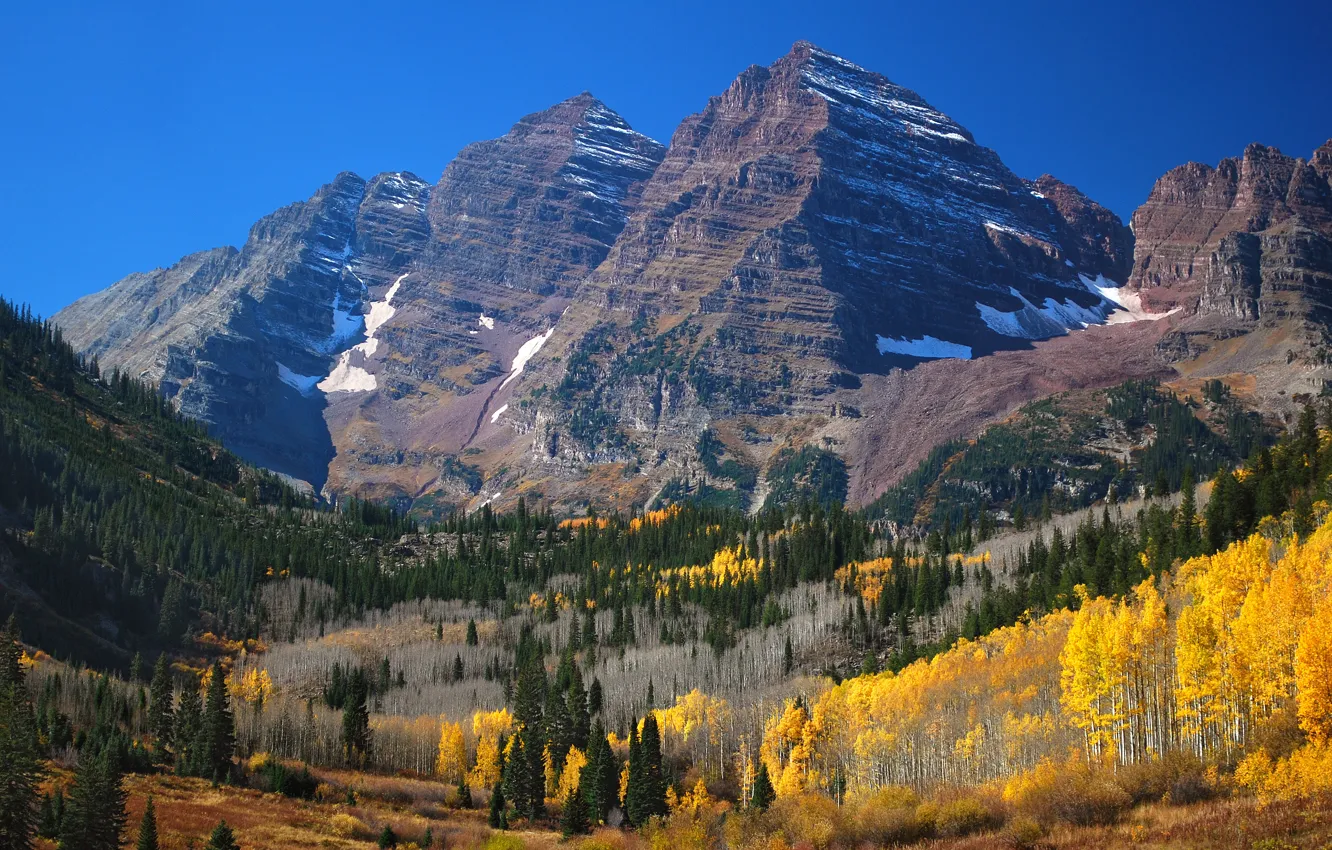 Фото обои лес, горы, вершины, Colorado, Aspen