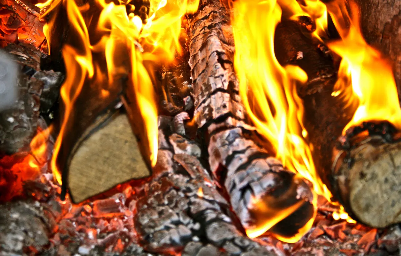 Фото обои огонь, дрова, печь