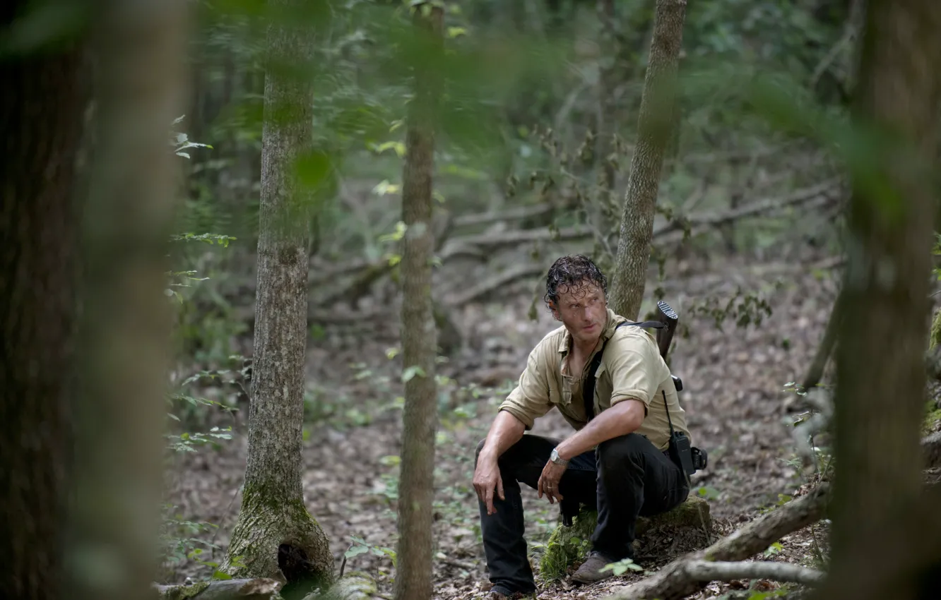 Фото обои лес, деревья, The Walking Dead, Rick Grimes, Ходячие мертвецы, Andrew Lincoln