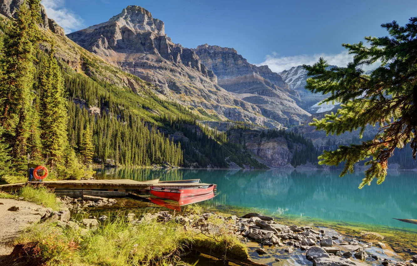 Фото обои лес, горы, озеро, пристань, лодки, ели, Канада, Canada