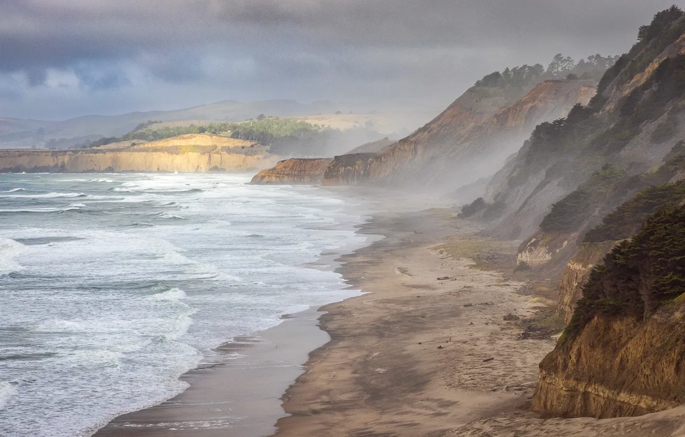 Фото обои San Gregorio, California, побережье, пляж, море, скалы
