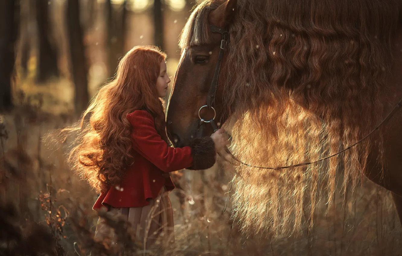 Фото обои лес, природа, поза, фото, волосы, лошадь, ребенок, девочка