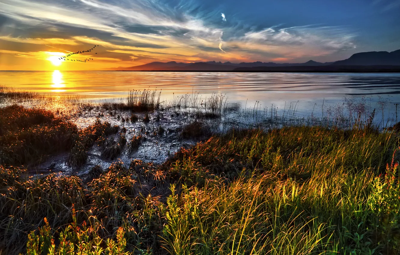 Фото обои трава, солнце, облака, закат, озеро, горизонт