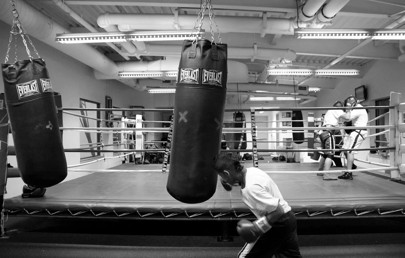 Фото обои Training, Boxing, Gym