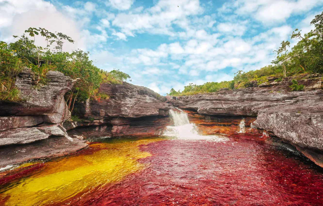 Фото обои Colombia, Колумбия, algae, Мета, водорослей, Nacional Park of Sierra de la Macarena, Meta, Национальный парк …