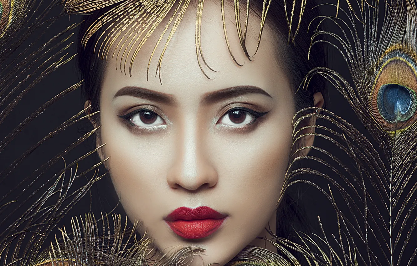 Фото обои взгляд, девушка, лицо, перья, макияж, помада, азиатка, павлиньи перья