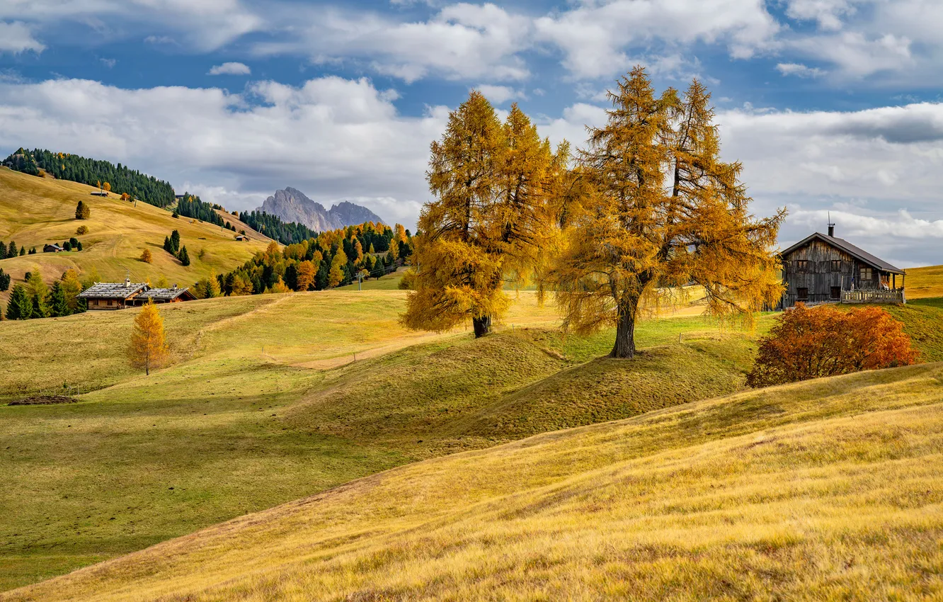 Фото обои Дома, Горы, Осень, Деревья, Италия, Пейзаж, Dolomites