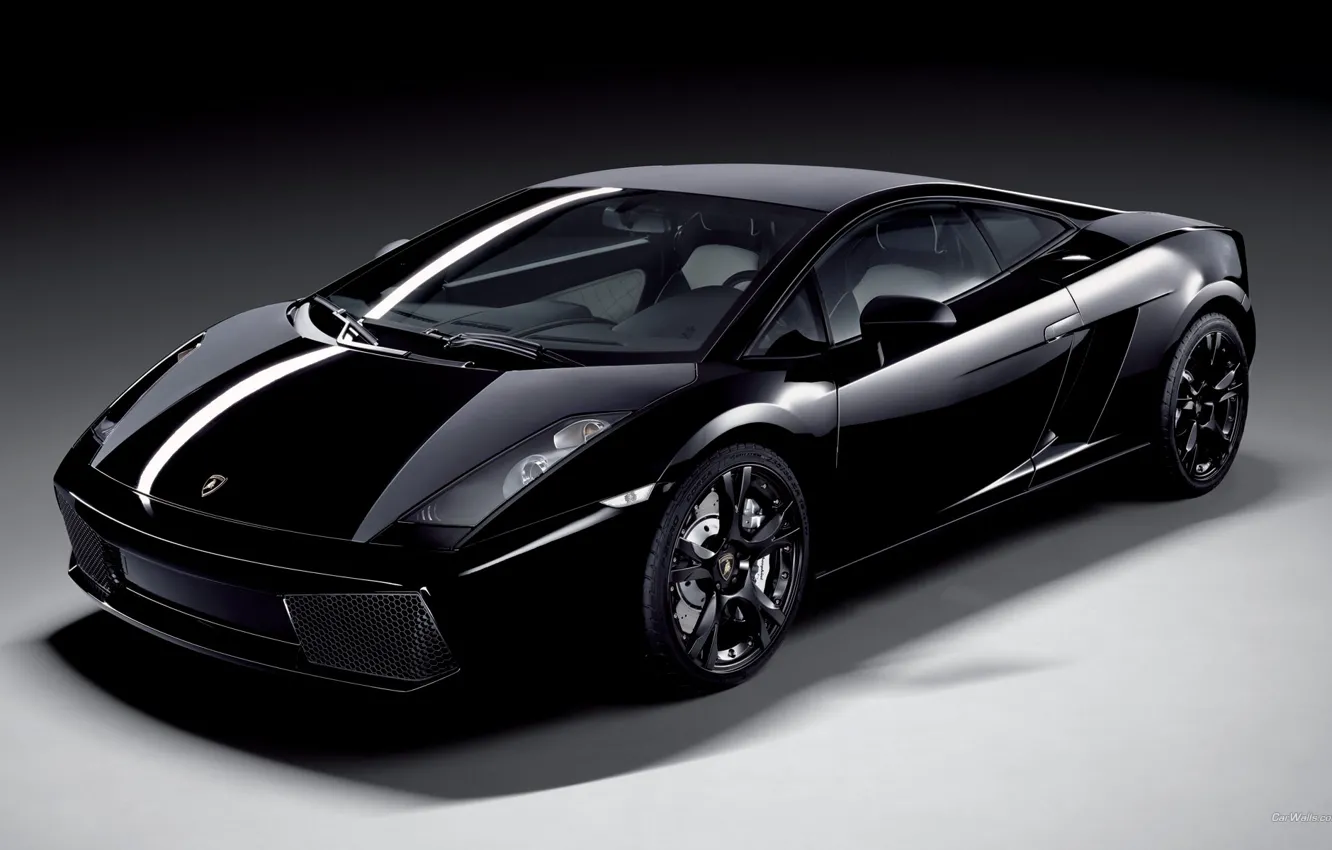 Фото обои черный, Lamborghini Gallardo Nera