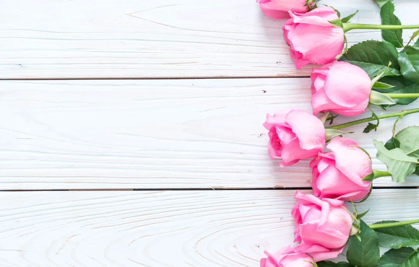 Фото обои цветы, розы, розовые, fresh, wood, pink, flowers, roses