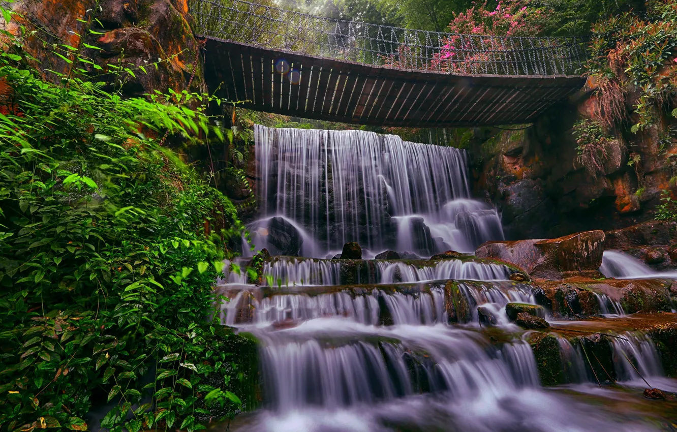 Фото обои природа, камни, водопад, мостик