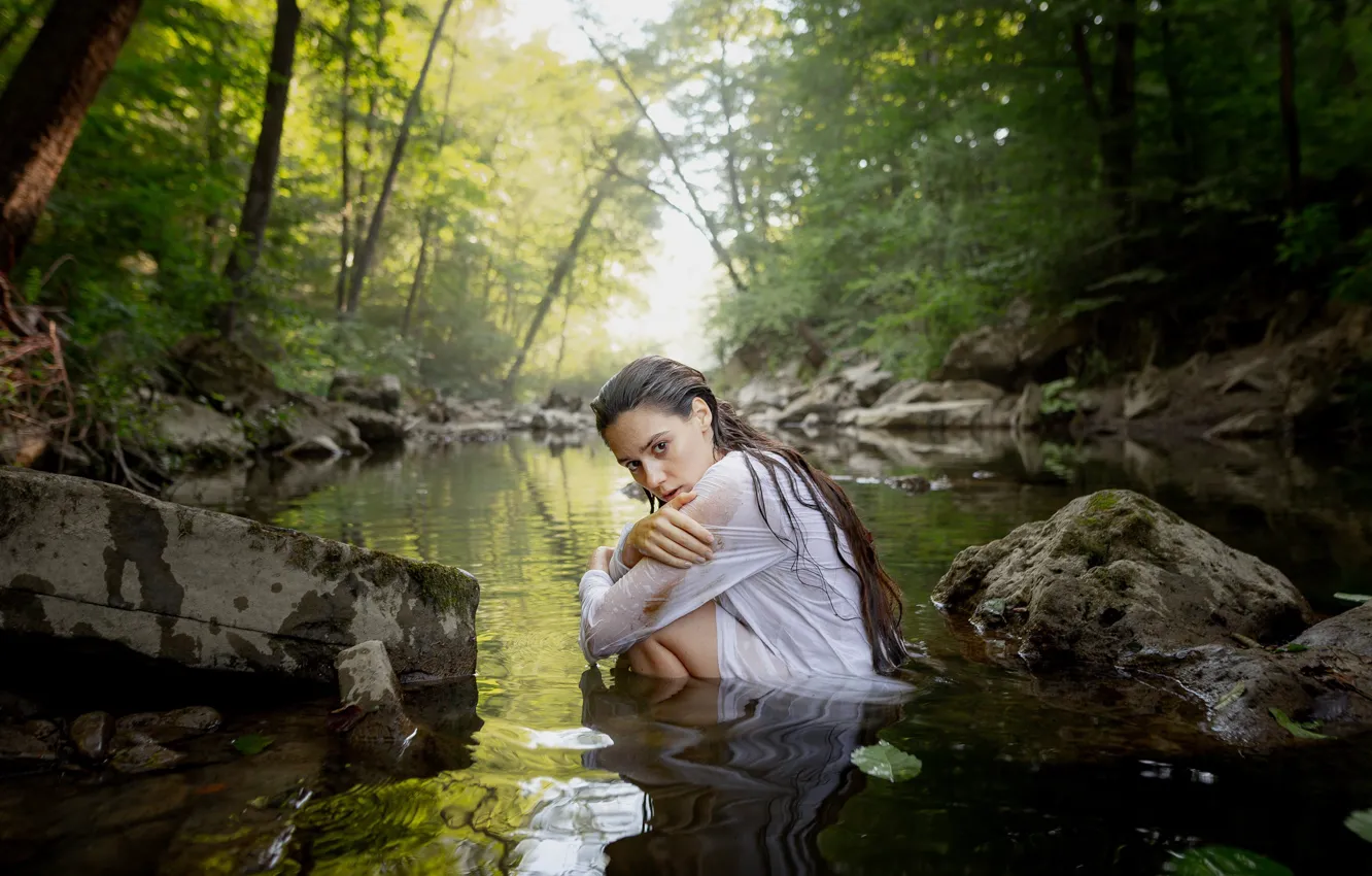 Фото обои лес, девушка, природа, поза, река, камни, ситуация, Андрей Васильев