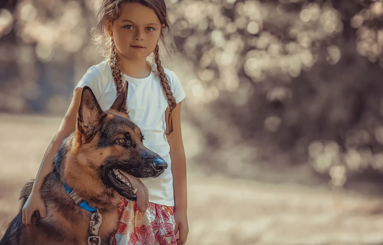 Фото обои собака, девочка, овчарка