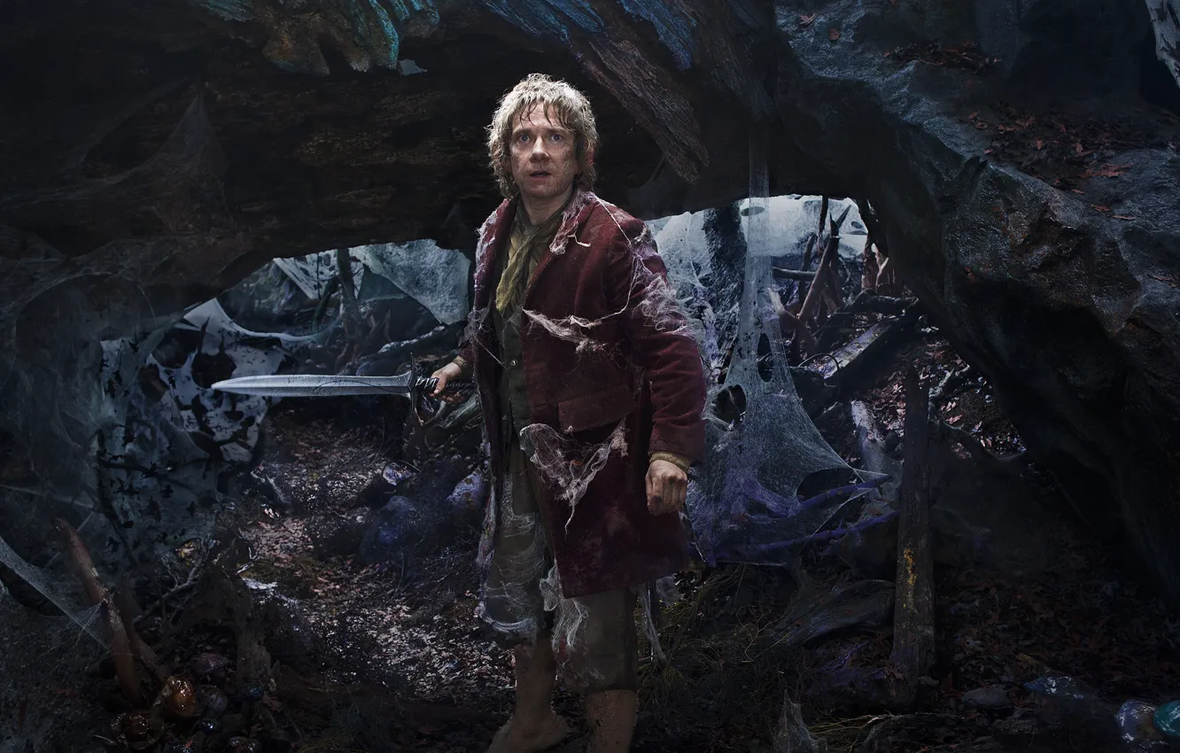 Фото обои паутина, меч, фэнтези, Martin Freeman, Мартин Фриман, The Hobbit: An Unexpected Journey, Хоббит: Нежданное путешествие, …
