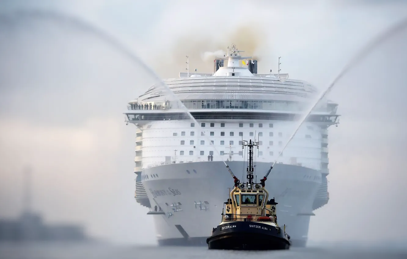 Фото обои Лайнер, Судно, Нос, Техника, Royal Caribbean International, Бак, Пассажирское судно, Пассажирский лайнер
