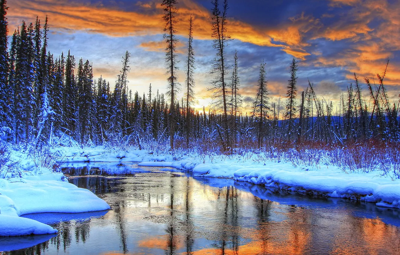 Фото обои зима, лес, небо, облака, снег, деревья, пейзаж, закат