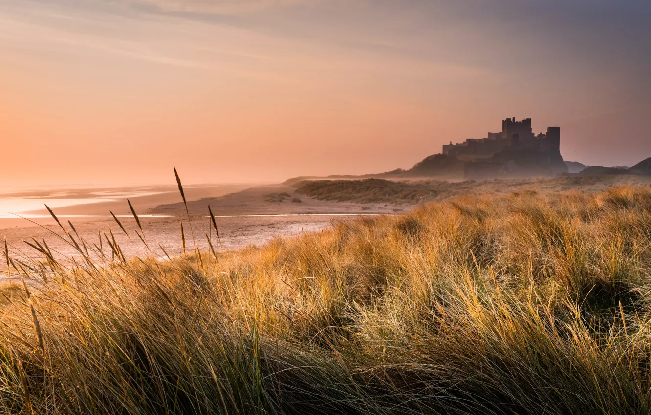 Фото обои трава, замок, берег