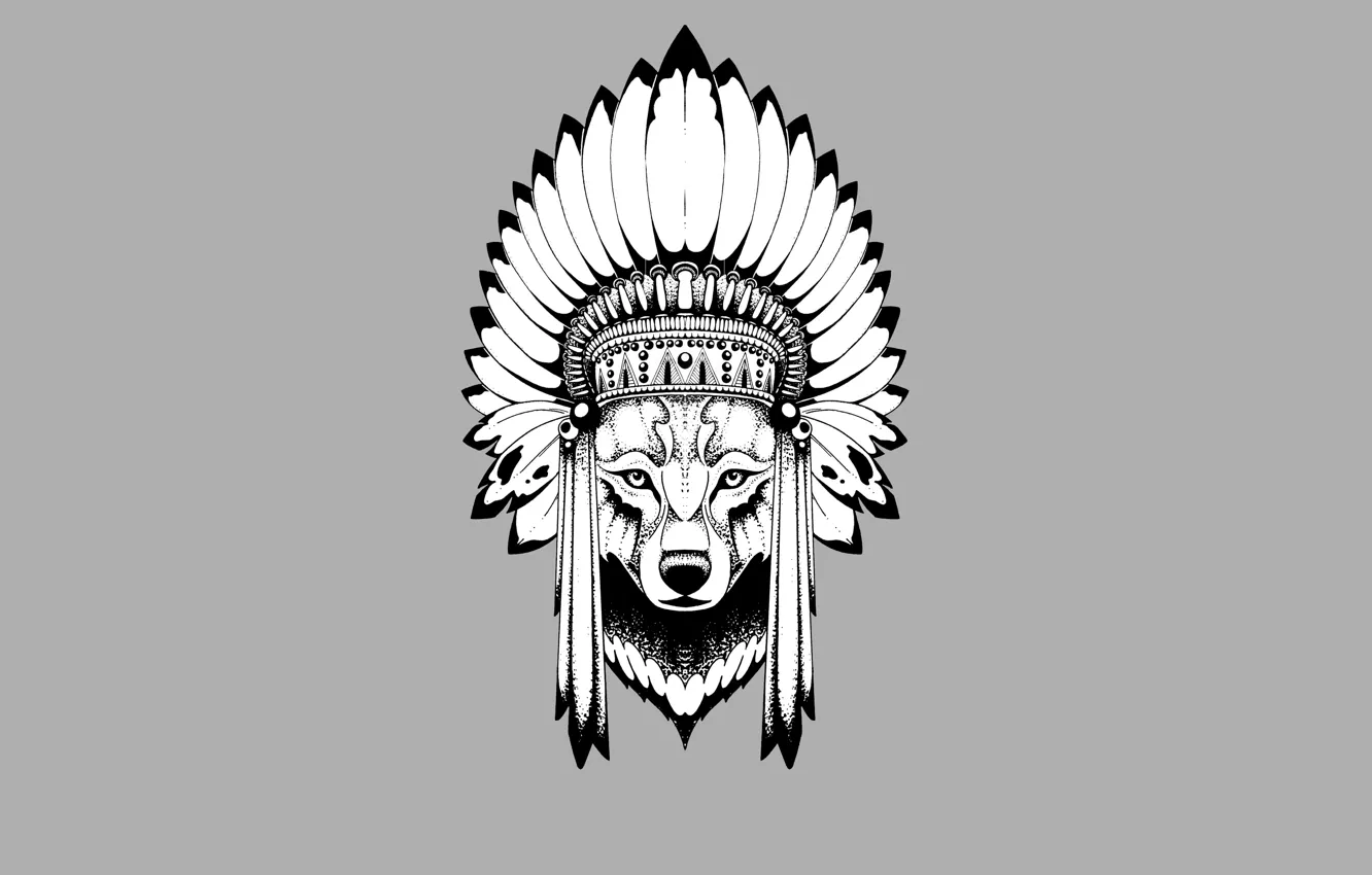 Фото обои волк, минимализм, голова, перья, индеец, wolf, indian