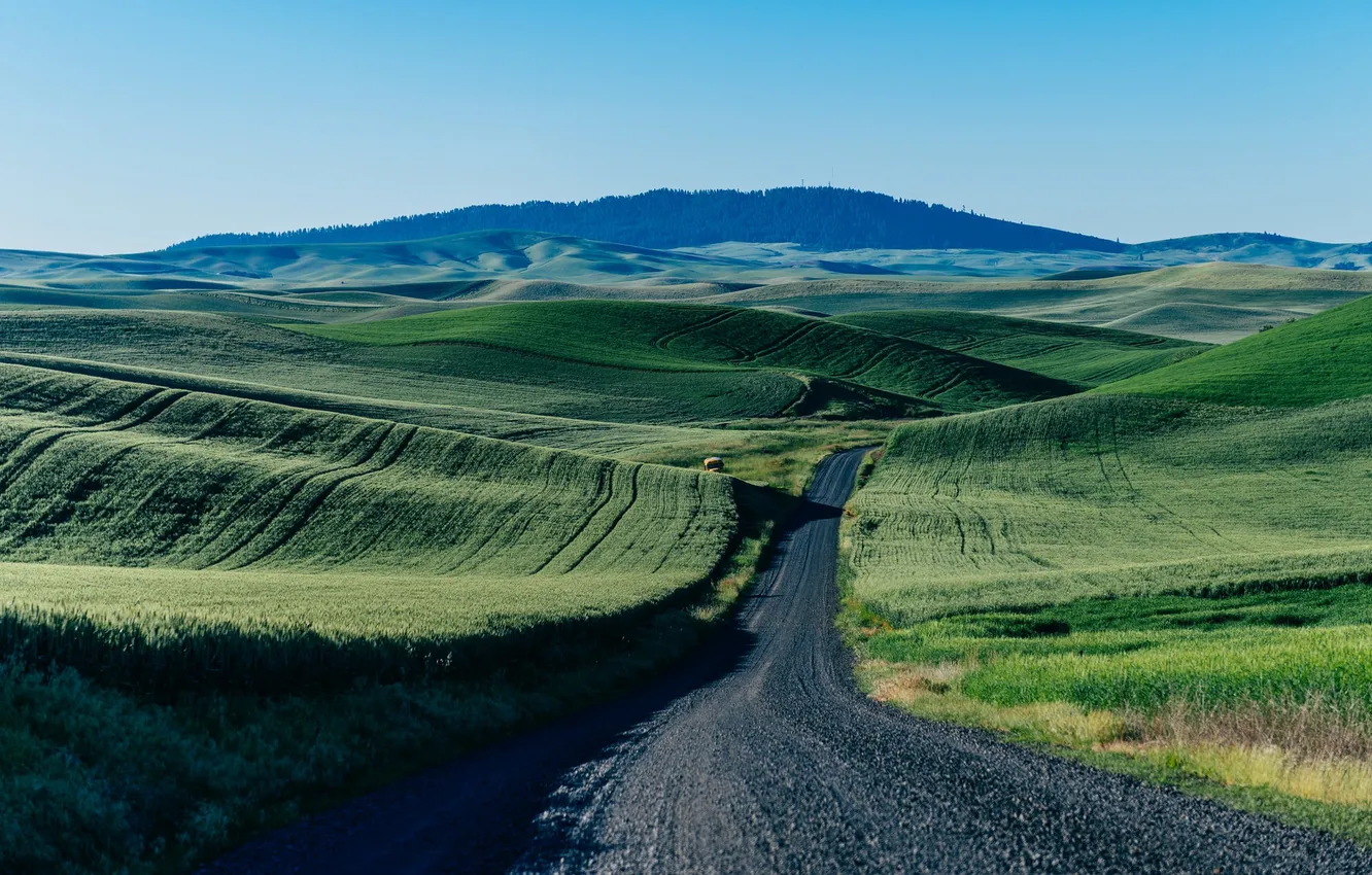 Фото обои дорога, поле, небо, горы, зеленый, автобус, ферма
