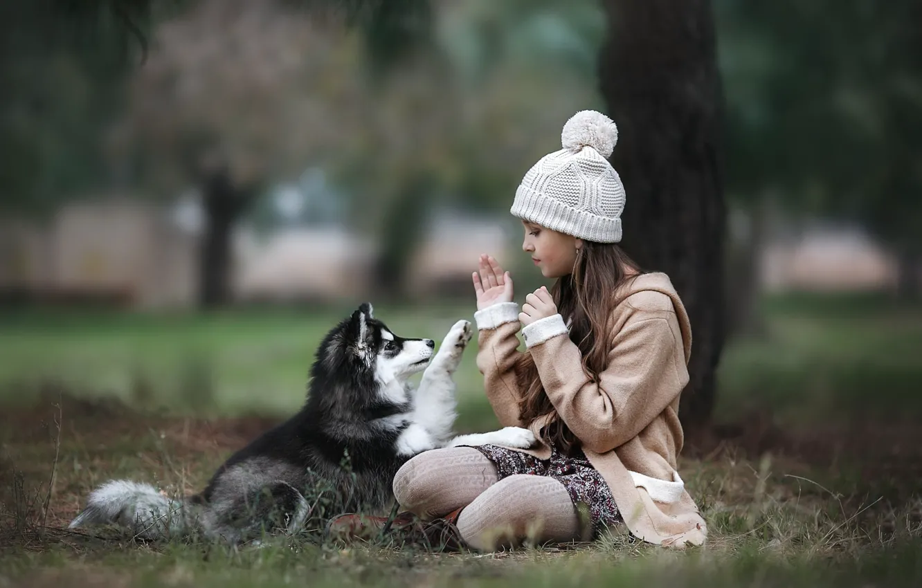 Фото обои осень, животное, игра, собака, девочка, щенок, пальто, ребёнок