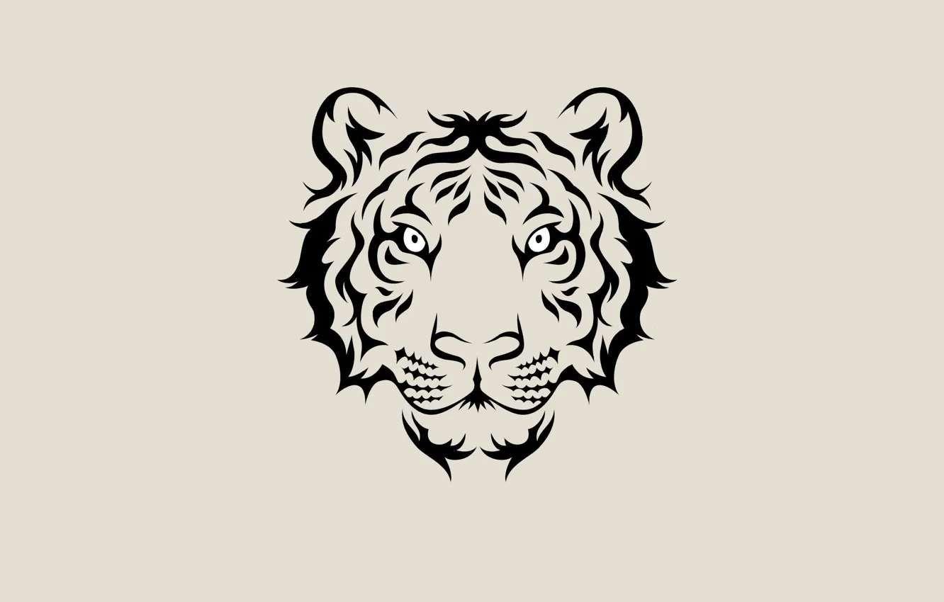 Фото обои морда, тигр, минимализм, светлый фон, tiger