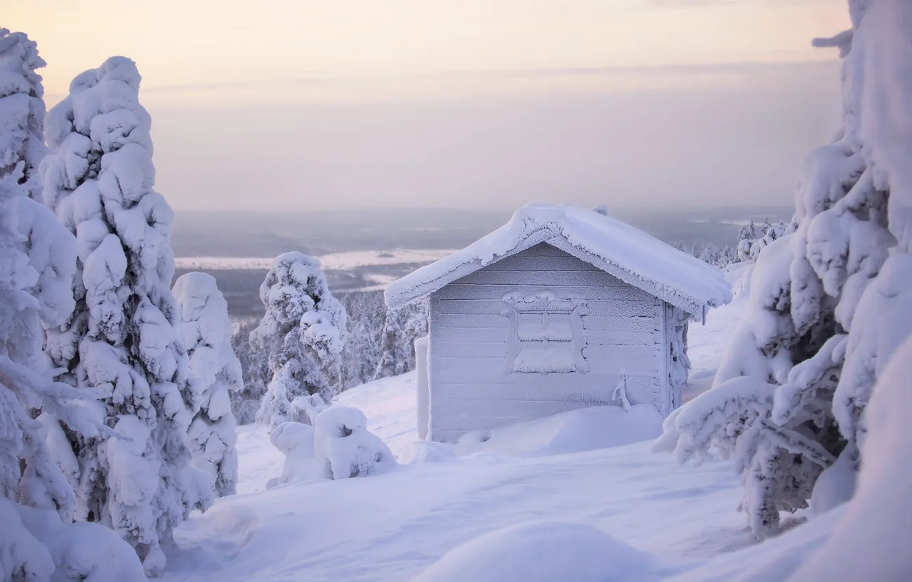 Фото обои зима, лес, белый, небо, снег, природа, дом, в снегу