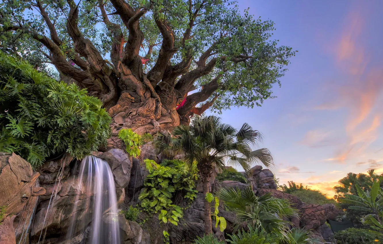 Фото обои деревья, парк, водопад, Флорида, Florida, Диснейуорлд, Disney's Animal Kingdom, Walt Disney World Resort