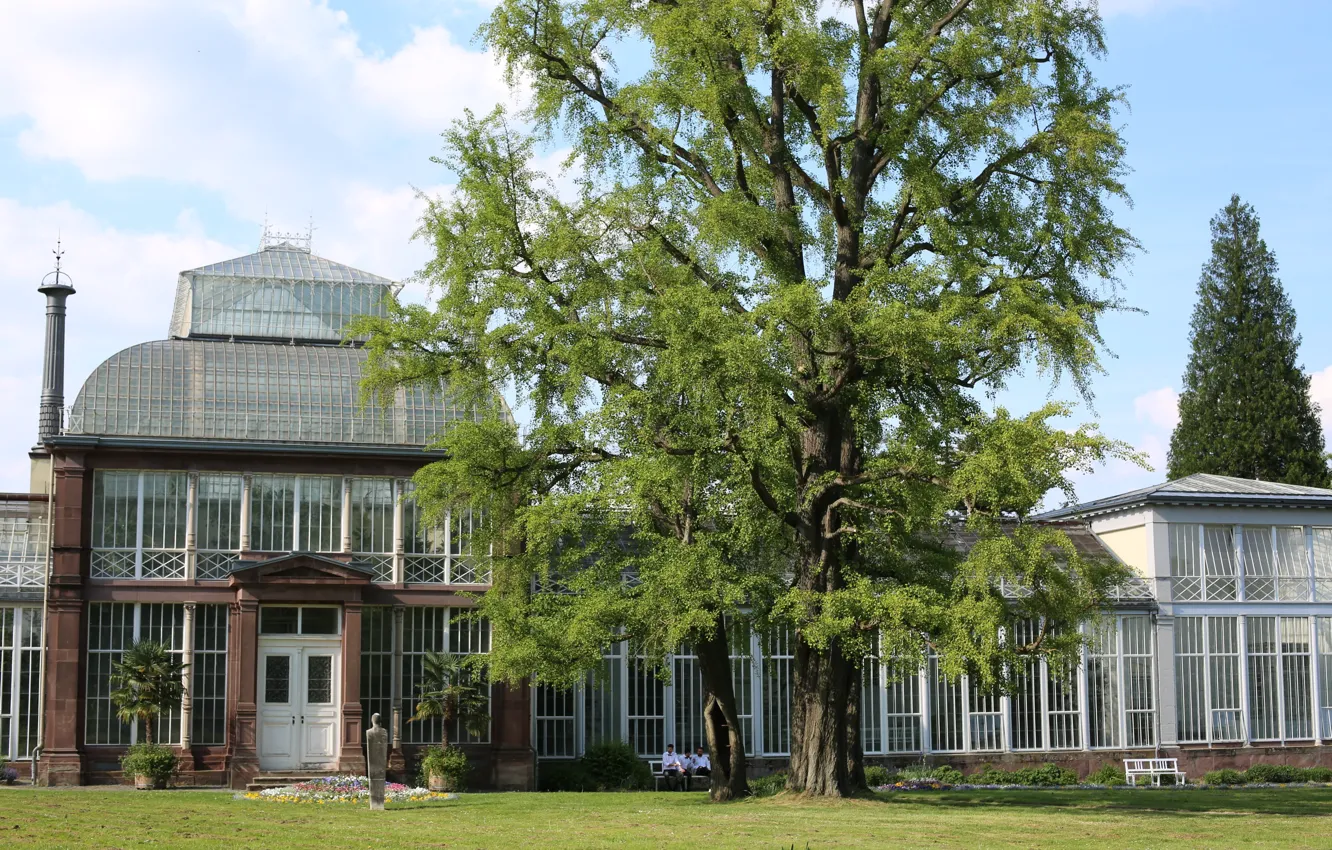 Фото обои Кассель, Бергпарк, Großes Gewächshaus, Bergpark Wilhelmshöhe