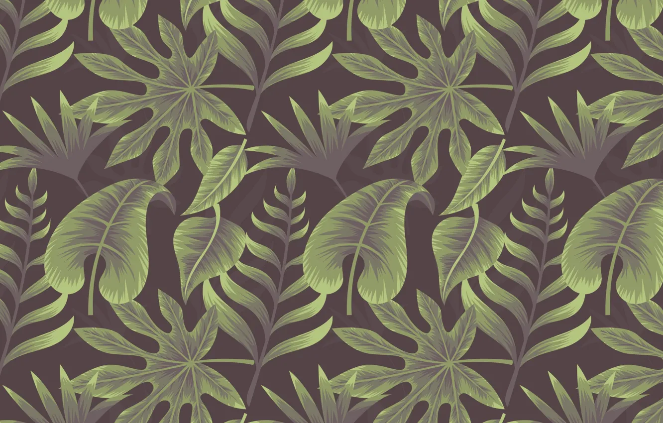 Фото обои фон, текстура, background, Leaves, Tropical, Plant