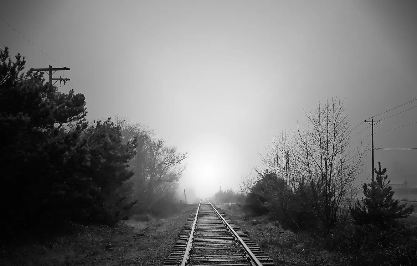 Фото обои дорога, туман, Черно-белая, железная, 157