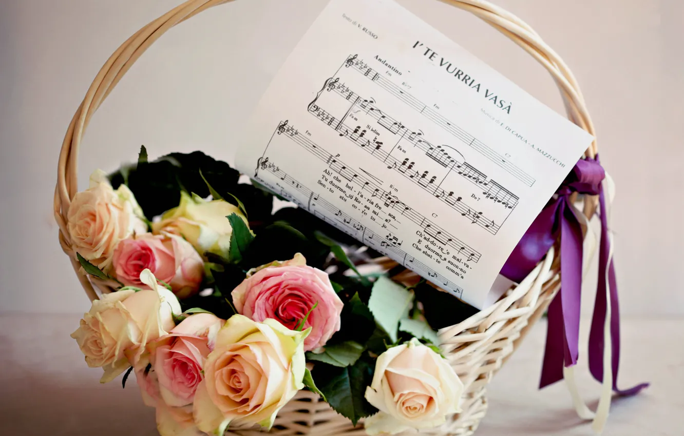 Фото обои цветок, цветы, ноты, музыка, корзина, розы, букет, лента