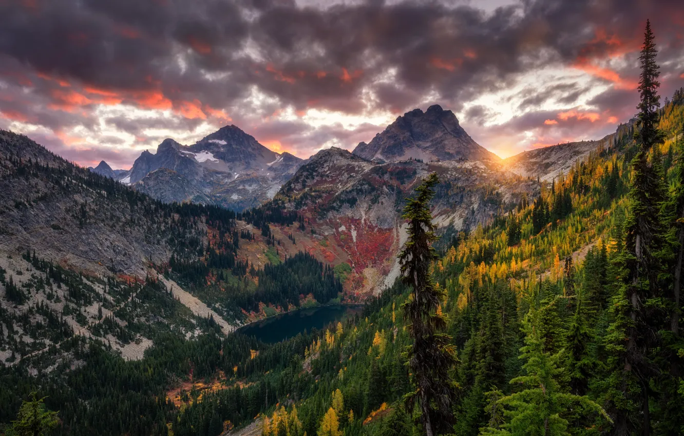 Фото обои осень, лес, горы, склон