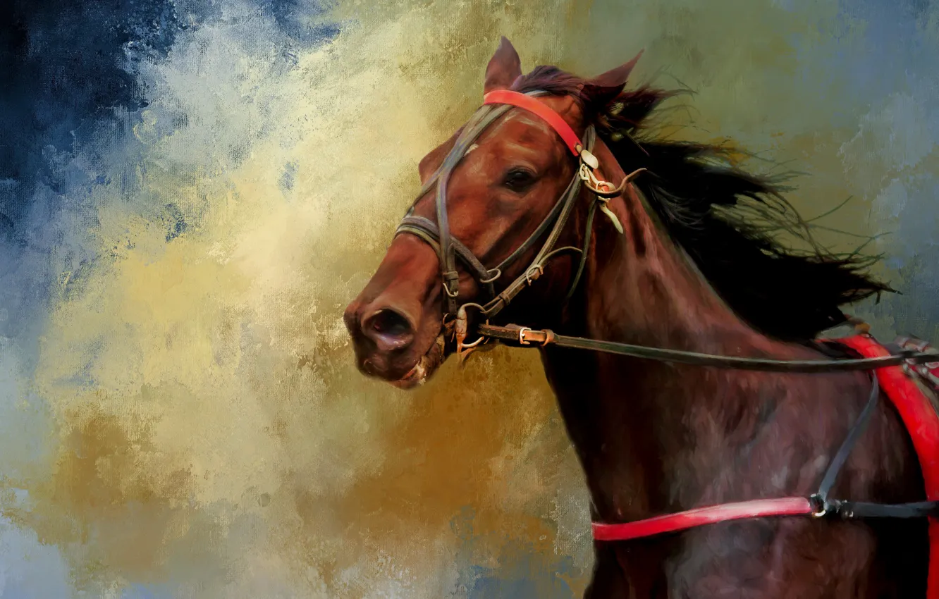 Фото обои конь, лошадь, портрет