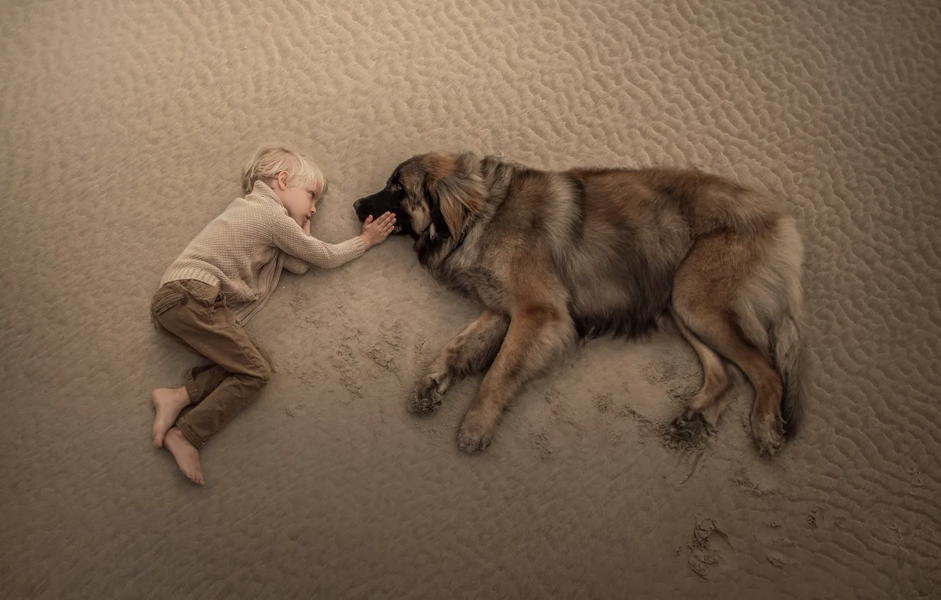 Фото обои песок, собака, мальчик, дружба, друзья