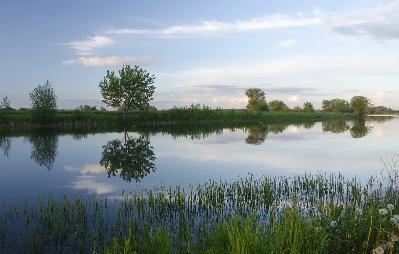 Фото обои лето, небо, трава, вода, озеро, отражение, река